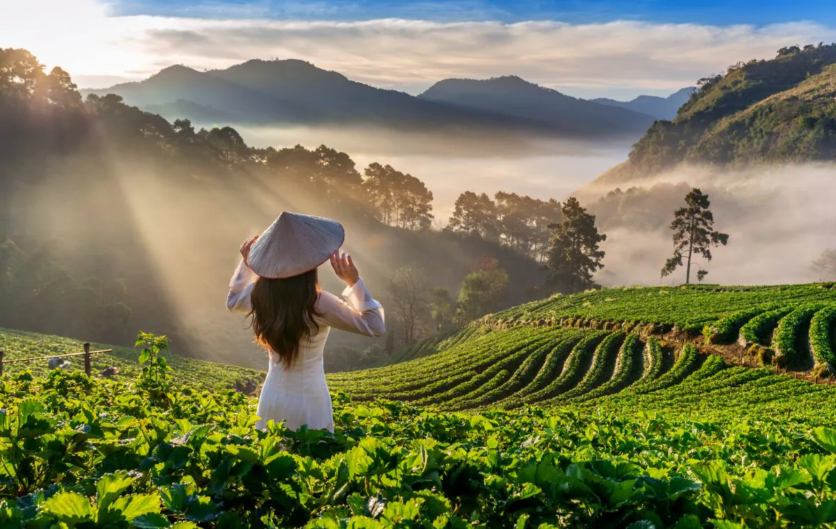 Asian woman wearing Vietnam culture traditional in strawberry ga