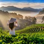 Asian woman wearing Vietnam culture traditional in strawberry ga